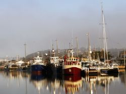 Lakes Entrance fishing fleet